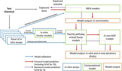 Bridging the Data Gap From in vitro Toxicity Testing to Chemical Safety Assessment Through Computational Modeling